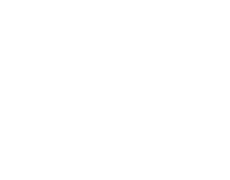 Dragonfly. Strength. Courage. Joy.