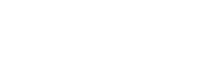Lighthouse Youth & Family Services
